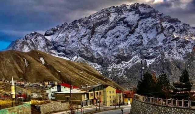 Şüpheli kadın ölümleri en çok Hakkari'de