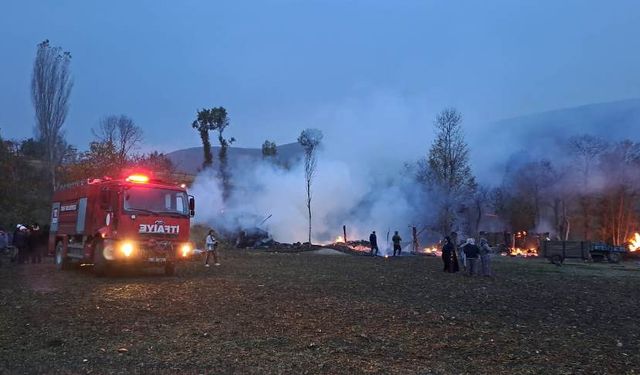 Ahır yangınında 110 hayvandan 50'si öldü
