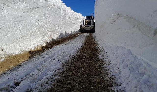 Hakkari'de 4 metrelik karla zorlu mücadele