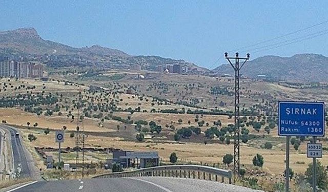 Şırnak’ta ormanlara girişler yasaklandı