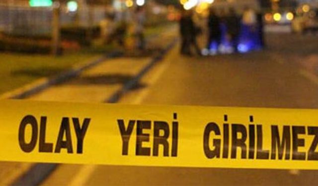 Van'da silahlı saldırı: Anne, 2 oğlu yaşamını yitirdi