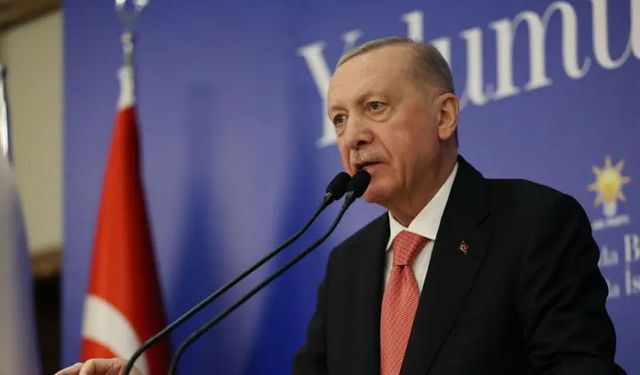 Erdoğan'dan gözaltılara ilk yorum