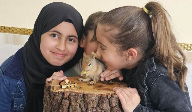 Hakkari’de sevimli sincabın yeni yuva heyecanı