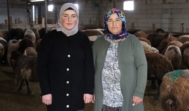 Erzincanlı anne ile kızı koyun sayılarını 100'den 900'e çıkarttı