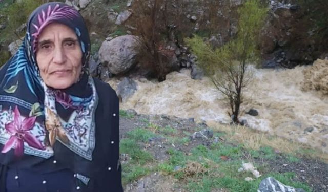 DEM Parti'den kayıp kadın için şeffaflık çağrısı