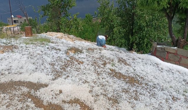 Diyarbakır’da dolu etkili oldu, bağ ve bahçeler zarar gördü