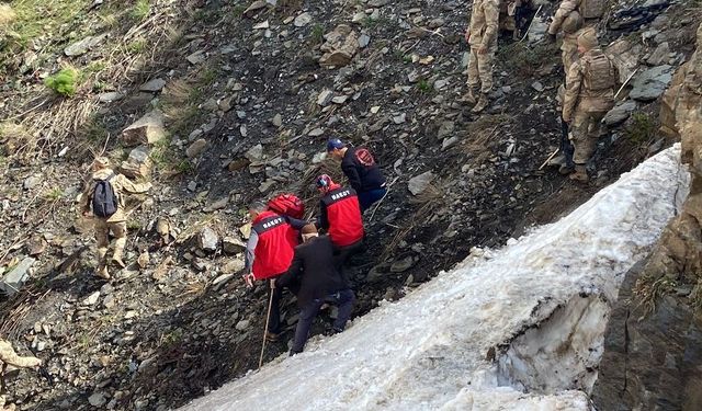 Pancar toplamak için dağa giden kadın ölü bulundu