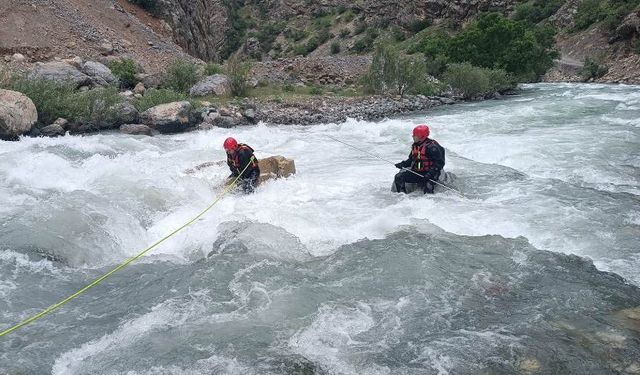 Hakkari'de derede kaybolan genci arama çalışmaları sürüyor