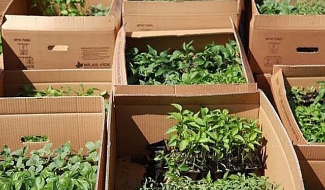 Hakkari'de fide desteği başvuruları başladı