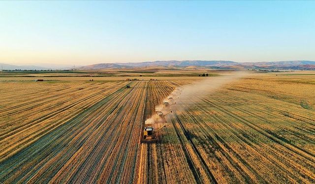 4. Tarım Orman Şurası kararları yarın açıklanacak