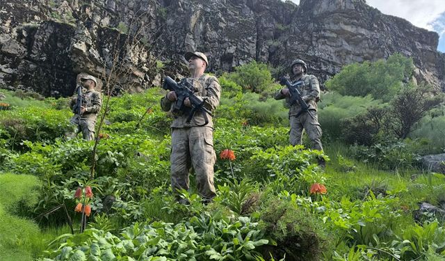 Hakkari'de Ters Lale'ye dokunan yandı