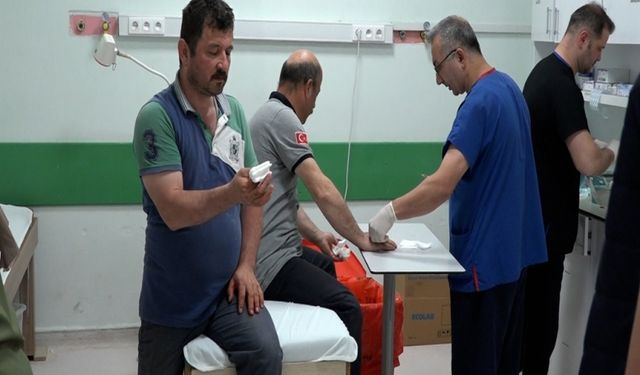 Acemi kasaplar hastanelere koştu