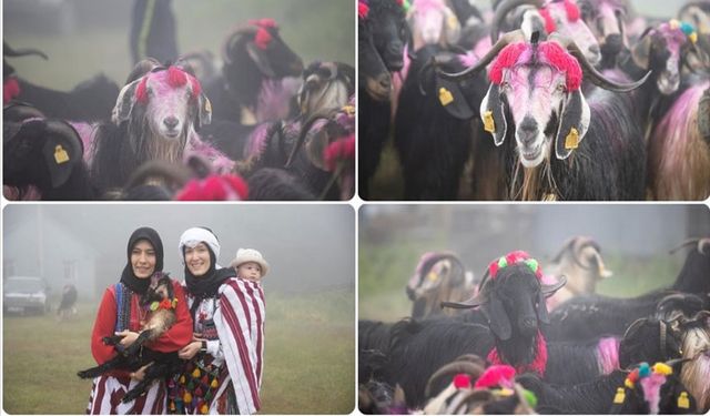 Besicilerin renkli yayla yolculuğu