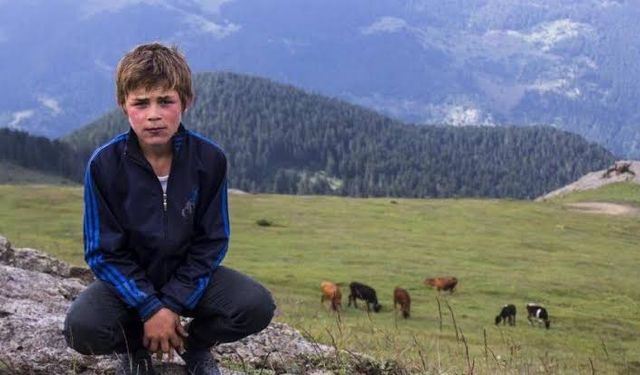 DEM Parti'den kritik dönemde çok önemli telefon