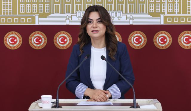 DEM Parti'li Koçyiğit: Bütün partiler İmralı'ya gitmeli