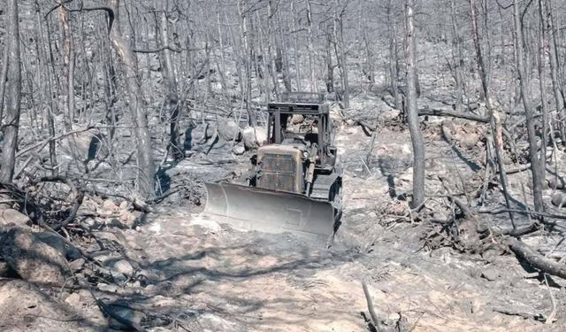 Ormancıların şehit olduğu alanın fotoğrafları ortaya çıktı