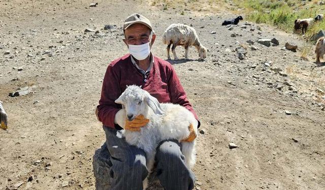 Ömrünün 38 yılı dağlarda geçti artık emekli olmak istiyor