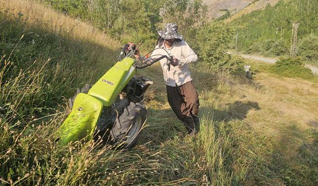 Hakkari’de kavurucu sıcakta kışlık ot mesaisi