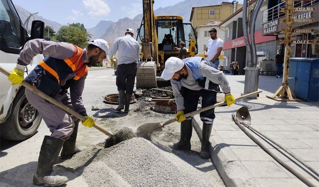 Hakkari’de logar kapakları yenileniyor