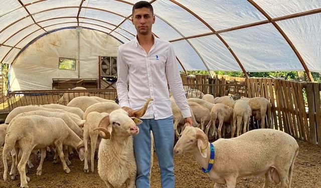 Yüksek kar vaadiyle besicileri 80 milyon lira dolandırdı