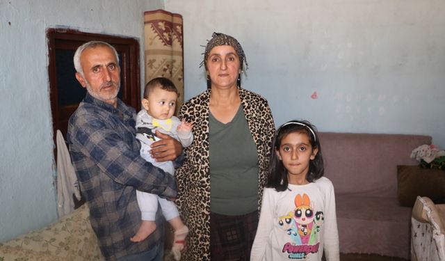 Hakkari'de tek katlı evde yılan kabusu
