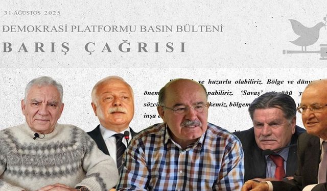 Demokrasi Platformu’ndan iki dilde çağrı