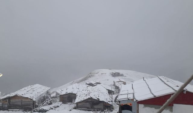 Artvin'inin yüksek yaylalarına kar yağdı
