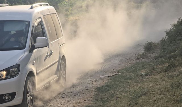 Hakkari'nin Demirli köyü sakinlerinden yol ve su talebi