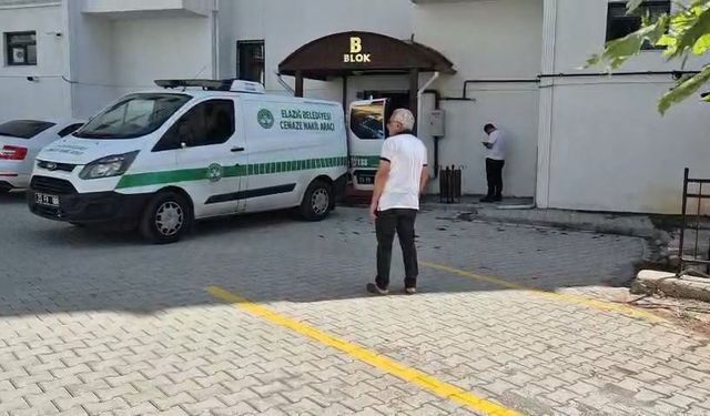 Başkomiserin eşinin ifadesi ortaya çıktı