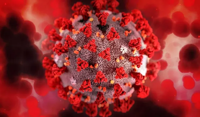 Lassa ateşi salgını 162 can aldı