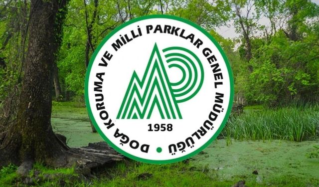 DKMP Genel Müdürlüğü 240 Sözleşmeli personel alacak
