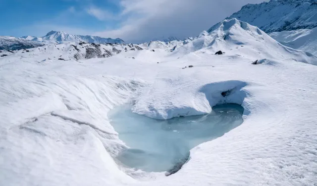 Buzulların altındaki gizli yaşam