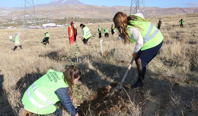 Edremit’te meşe fidanları toprakla buluşturuldu