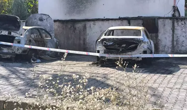 Şırnak'ta park halindeki 2 araç yandı