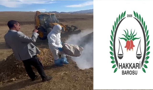 Hakkari Barosu’ndan 'hayvan katliamına' suç duyurusu
