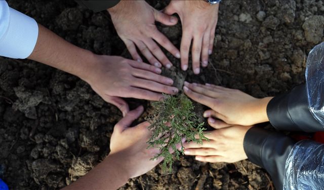 Ağaçlandırma Günü'nde "çifte rekor" kırıldı