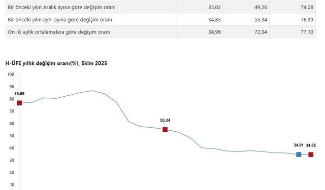 TÜİK: Hizmet üretici fiyatları ekimde arttı