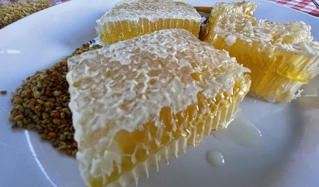 Hakkari'de bu yıl bin 200 ton bal üretildi