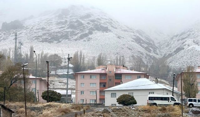 Van'ın ilçelerindeki yüksek kesimlere kar yağdı