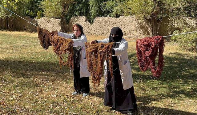 Kadınlar iplere doğada topladıkları bitkilerle renk veriyor