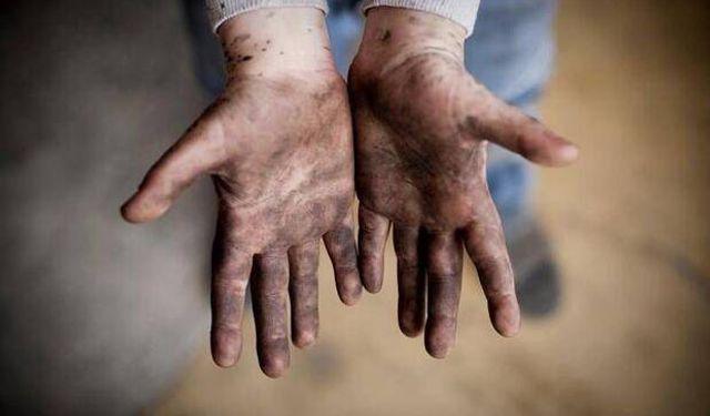 Çocuk İşçiliğine Sıfır Tolerans: Yeni Nesil Model