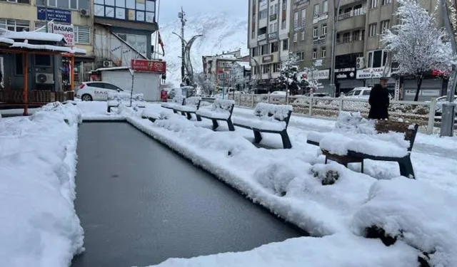 Hakkari için kar uyarısı: O tarihte yağacak!