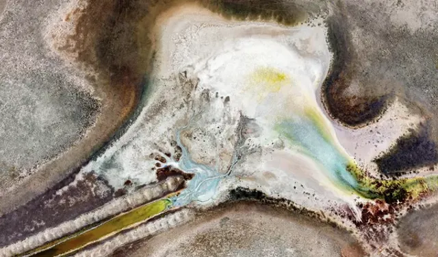 Kuş Cenneti'nde kuş nüfusu azalıyor