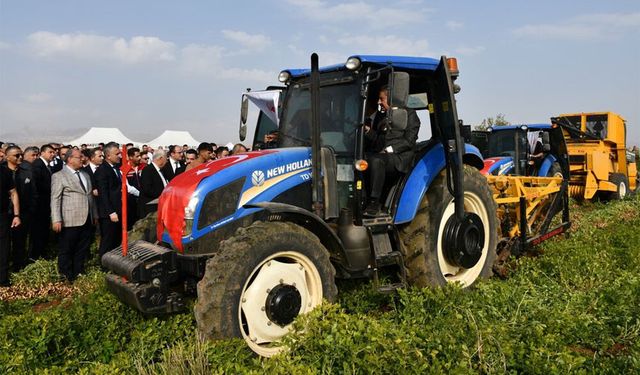 Şırnak'ta yer fıstığı hasadı yapıldı