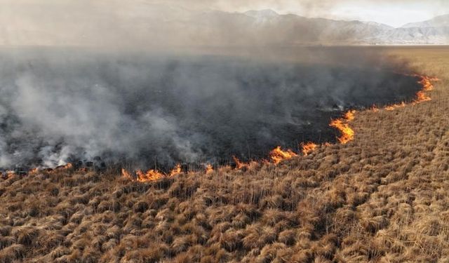 Nehil Sazlığı'ndaki yangın söndürüldü