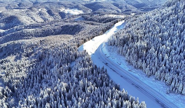 Çambaşı Yaylası'nda kış manzarası havadan görüntülendi