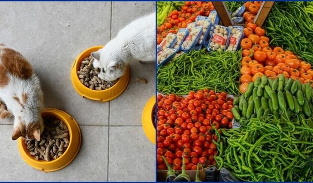 Kasımda evcil hayvan ürünleri zamlandı, sebzeler ucuzladı