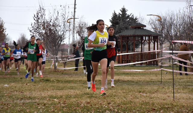 Bölgesel Kros Ligi Yarı Finalleri Van’da Koşuldu