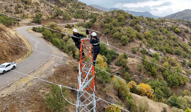 VEDAŞ ekipleri kış öncesi hazırlıklarını tamamladı