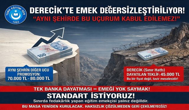 Hakkari Türk Eğitim Sen’den Derecik’teki promosyona tepki!